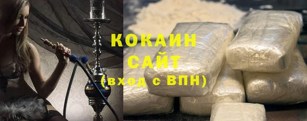 гашик Верея