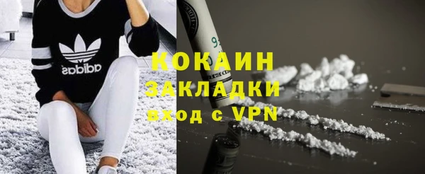 гидра Верхний Тагил