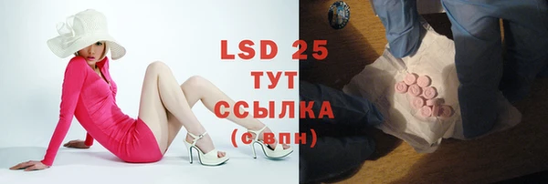 гашик Верея