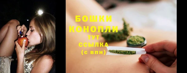 гидра Верхний Тагил