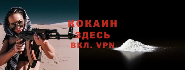 гашик Верея