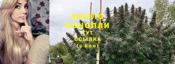 гидра Верхний Тагил