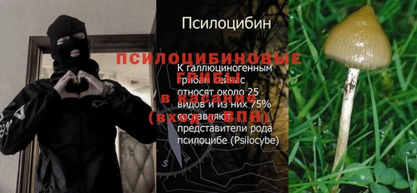 гидра Верхний Тагил