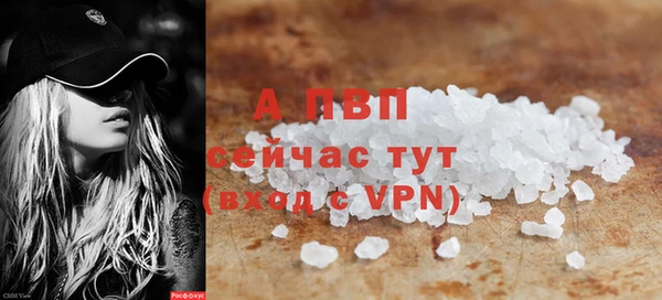 гашик Верея