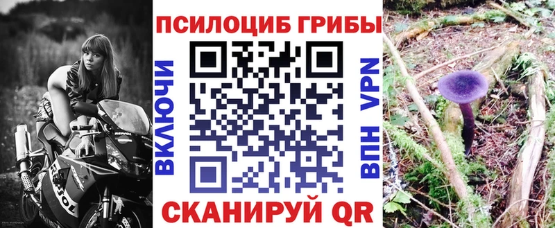 ОМГ ОМГ ссылки  где найти   Всеволожск  Псилоцибиновые грибы мухоморы 